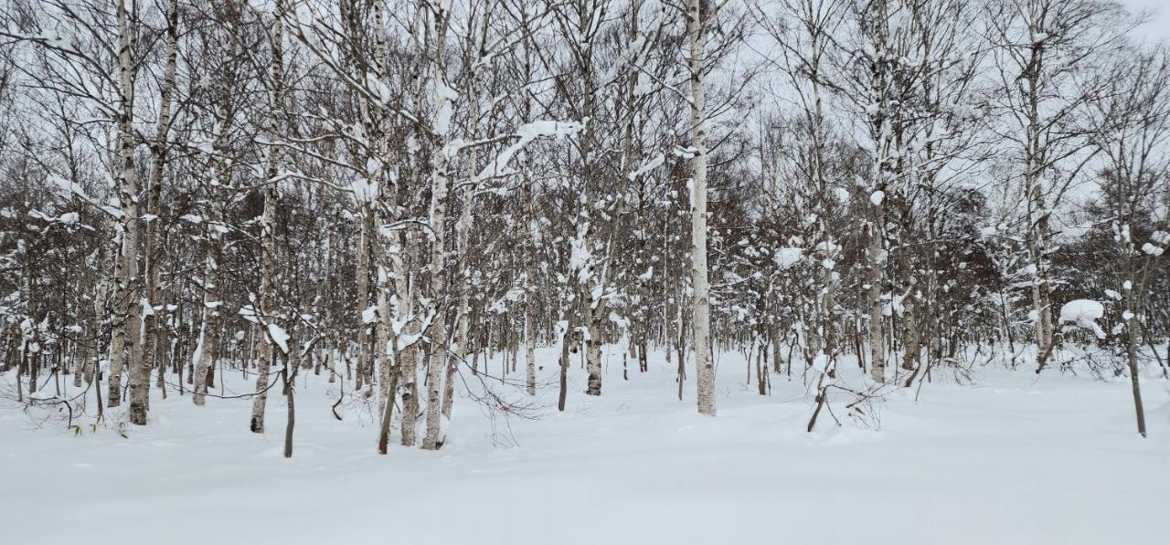 El Cosmo Lodge, Niseko Exterior photo