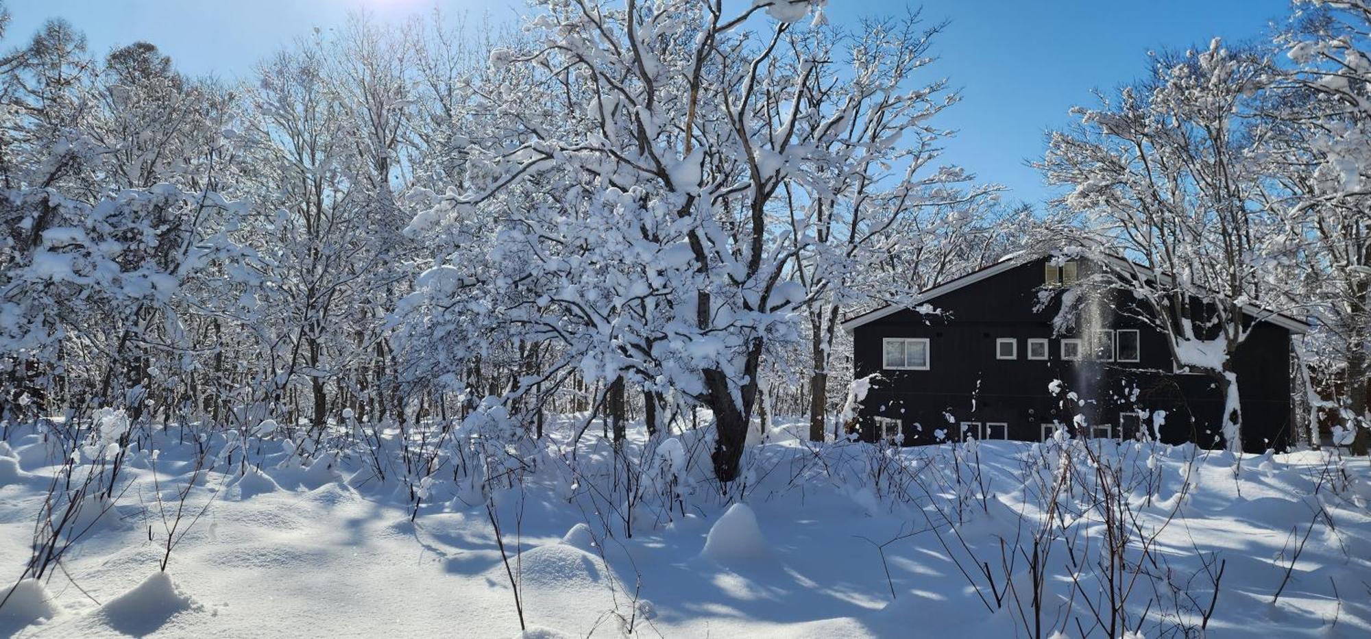 El Cosmo Lodge, Niseko Exterior photo