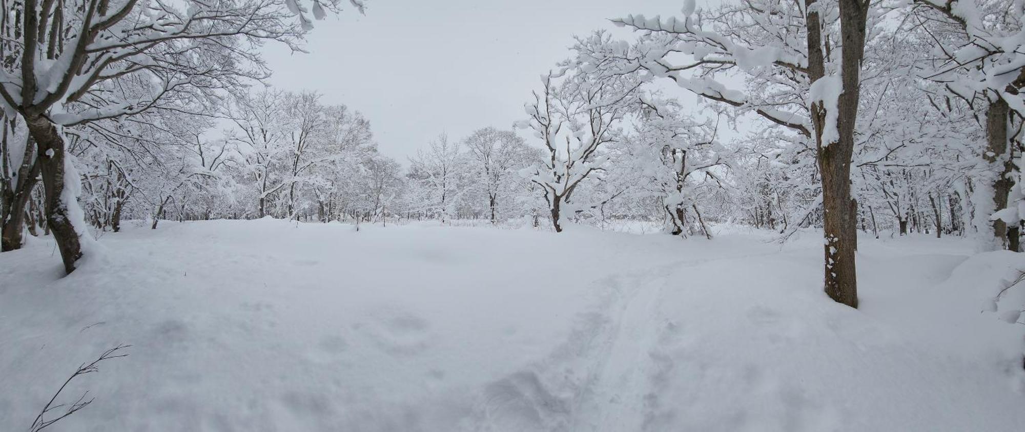 El Cosmo Lodge, Niseko Exterior photo